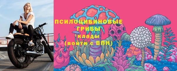 стафф Арсеньев