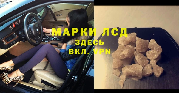 стафф Арсеньев