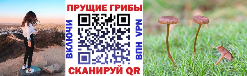 Псилоцибиновые грибы ЛСД  гидра tor  Армянск 